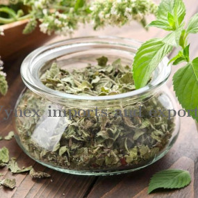 Dried Mint Leaves