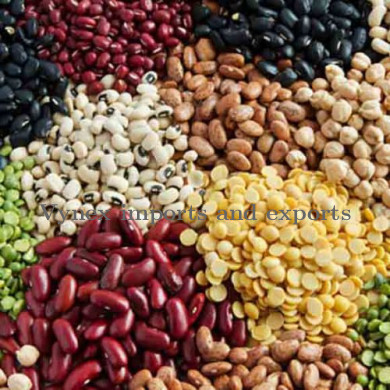 Indian Pulses
