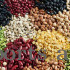 Indian Pulses